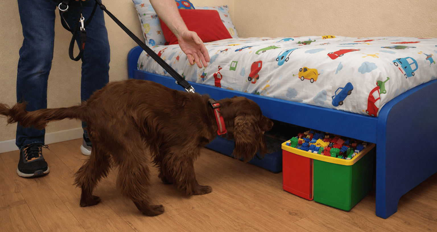 Chinches y niños qué debes saber si sospechas de chinches en casa