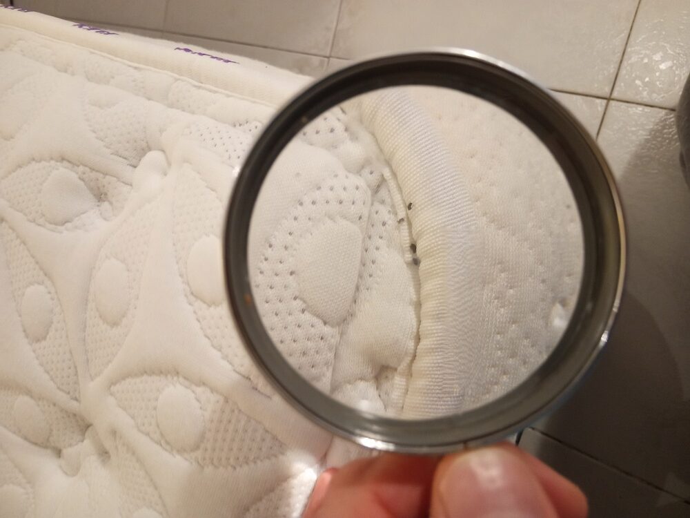 Lupa revisando una costura de colchón